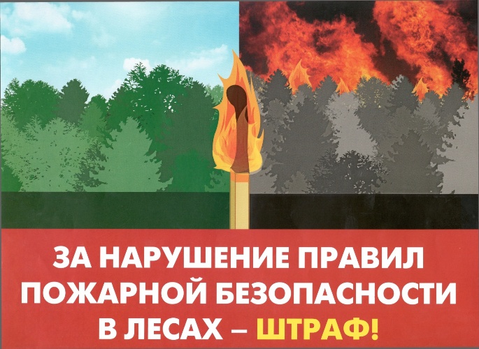 Ответственность за нарушение правил пожарной безопаности в лесах.